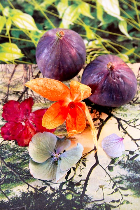 des figues et des fleurs