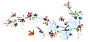 dessin crayon de couleur branche