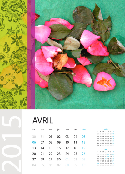 calendrier 2015 sophie plouvier