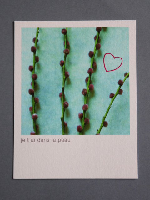 carte de Saint Valentin Sophie Plouvier - "branche et coeur"