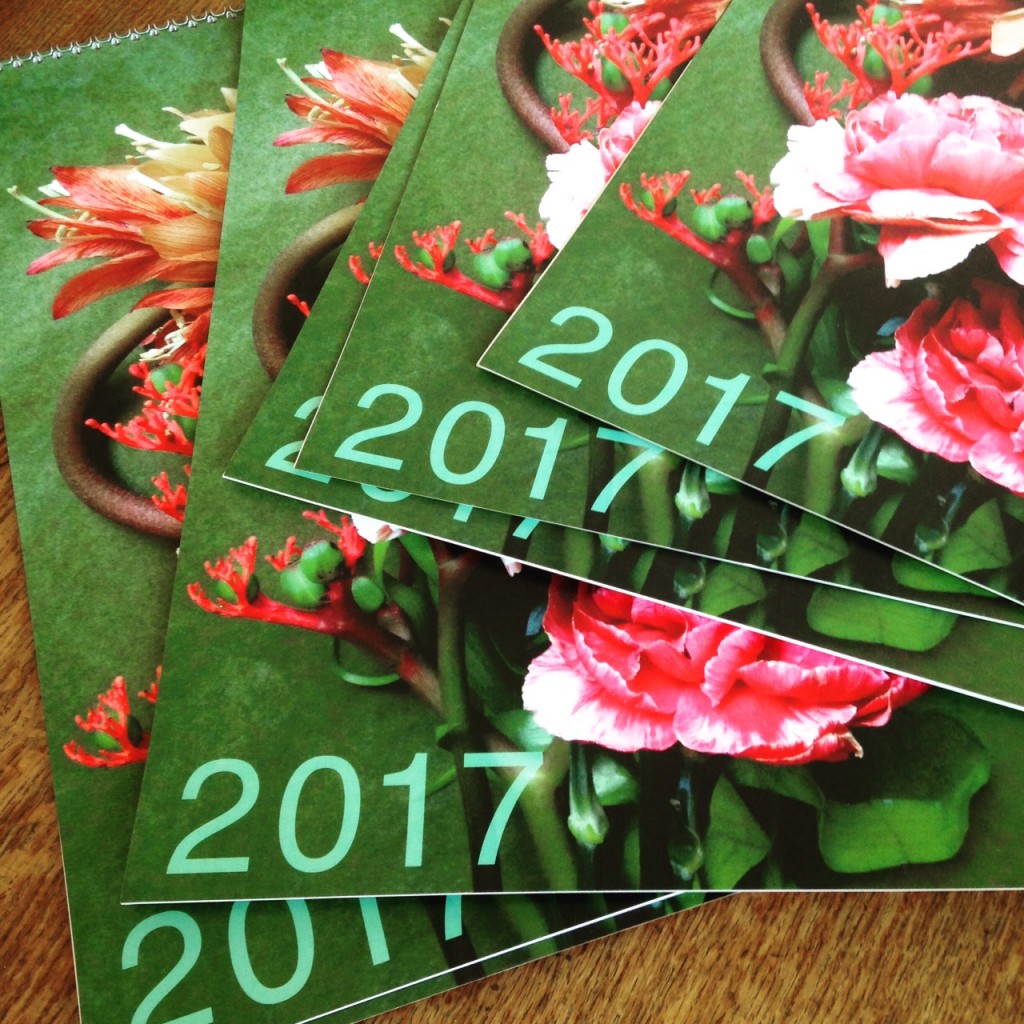 calendrier 2017 Sophie Plouvier