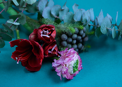 bouquet de fleurs - photo Sophie Plouvier