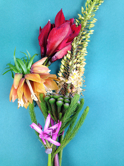 bouquet de fleurs - photo Sophie Plouvier