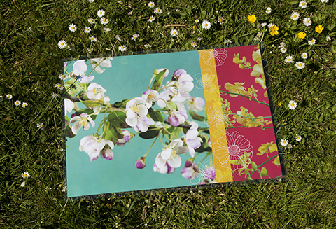 set-de-table "fleurs de pommier" Sophie Plouvier