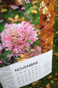 mois de novembre-calendrier Sophie Plouvier