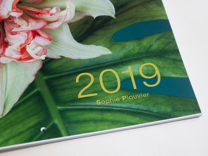 calendrier 2019 Sophie Plouvier