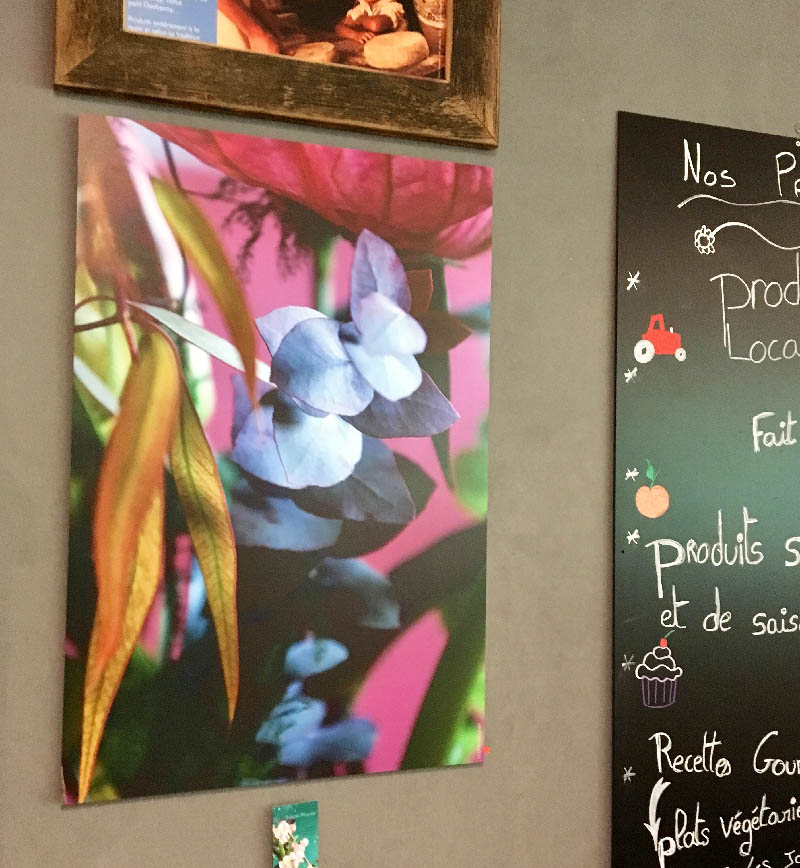 exposition de mes photos au restaurant Séson - Nogent sur Oise