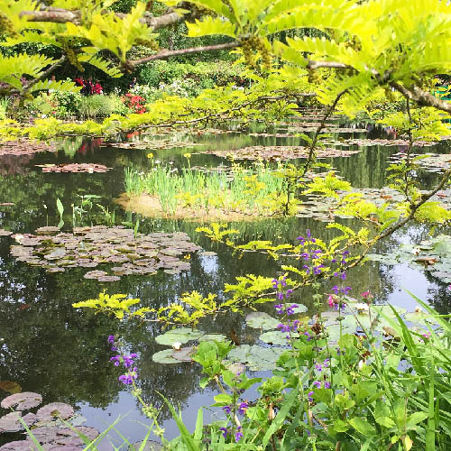 jardin de Giverny - photo Sophie Plouvier