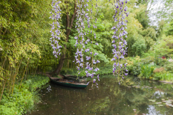 jardin de Giverny - photo Sophie Plouvier