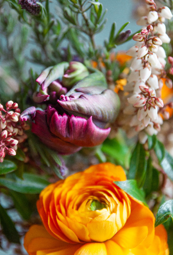 pieris et fleurs - photo Sophie Plouvier