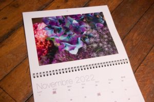 calendrier 2022 Sophie Plouvier