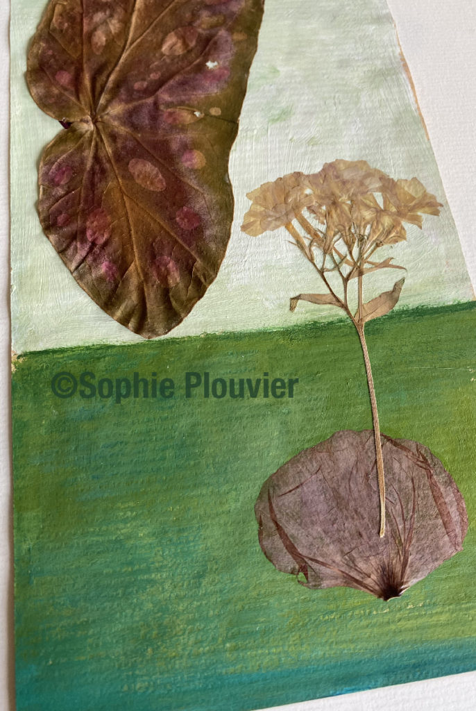 omposition fleurs séchées sur acrylique - Sophie Plouvier