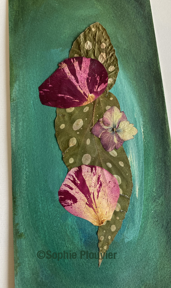 composition fleurs séchées sur acrylique - Sophie Plouvier