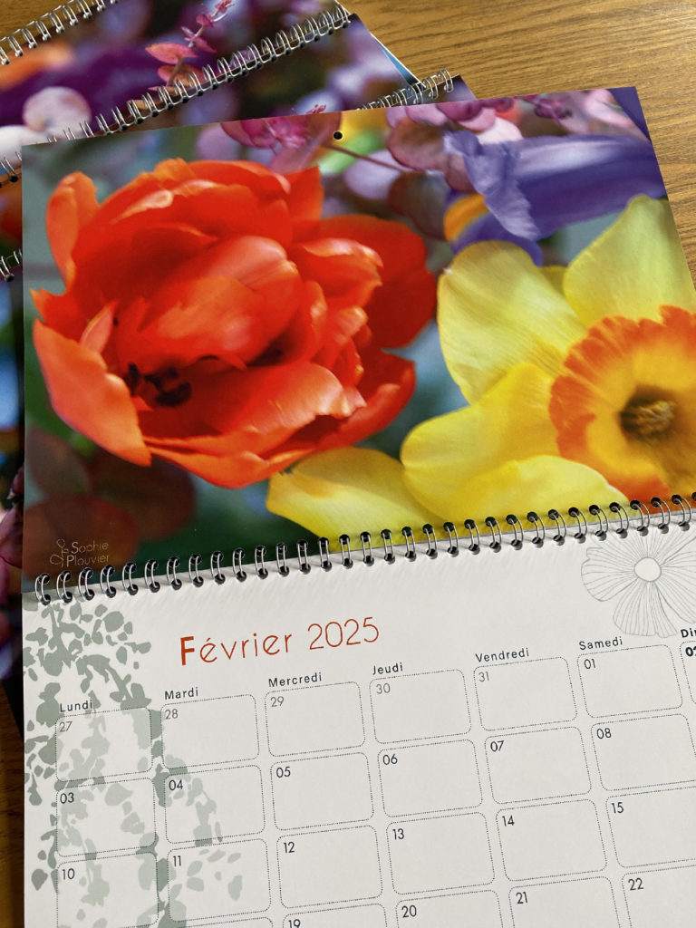 Calendrier 2025 Sophie Plouvier - Page Février