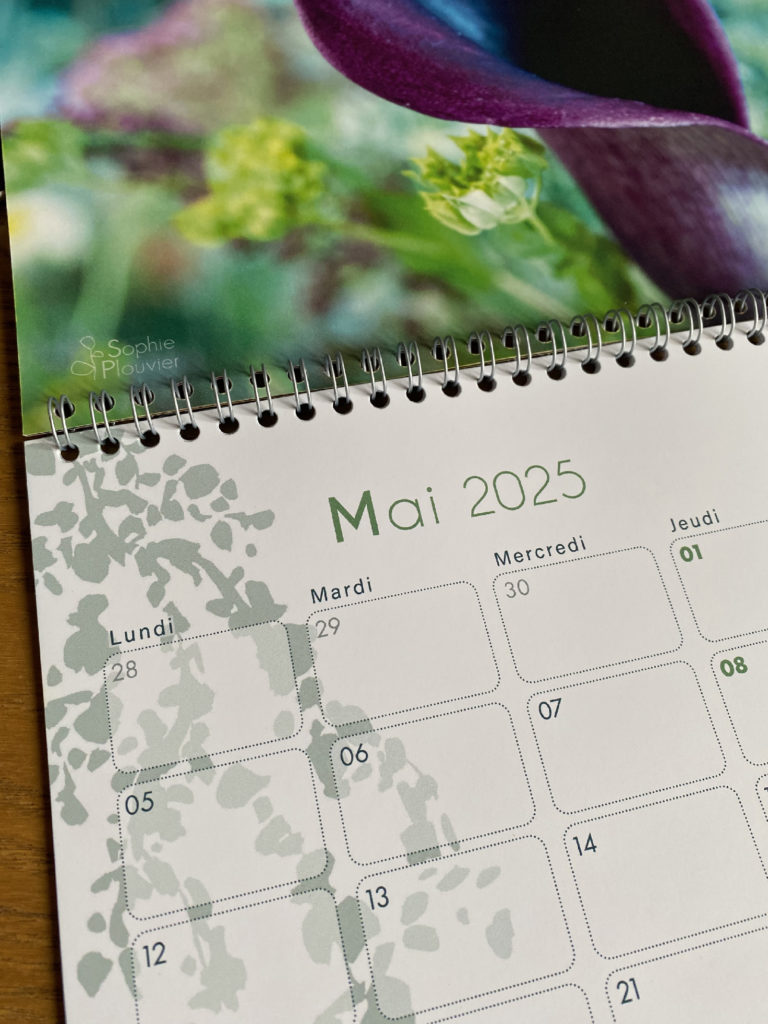 Calendrier 2025 Sophie Plouvier