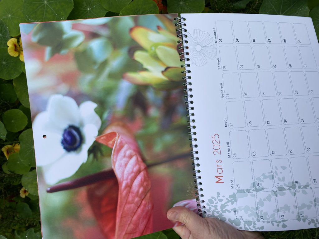 Calendrier 2025 Sophie Plouvier