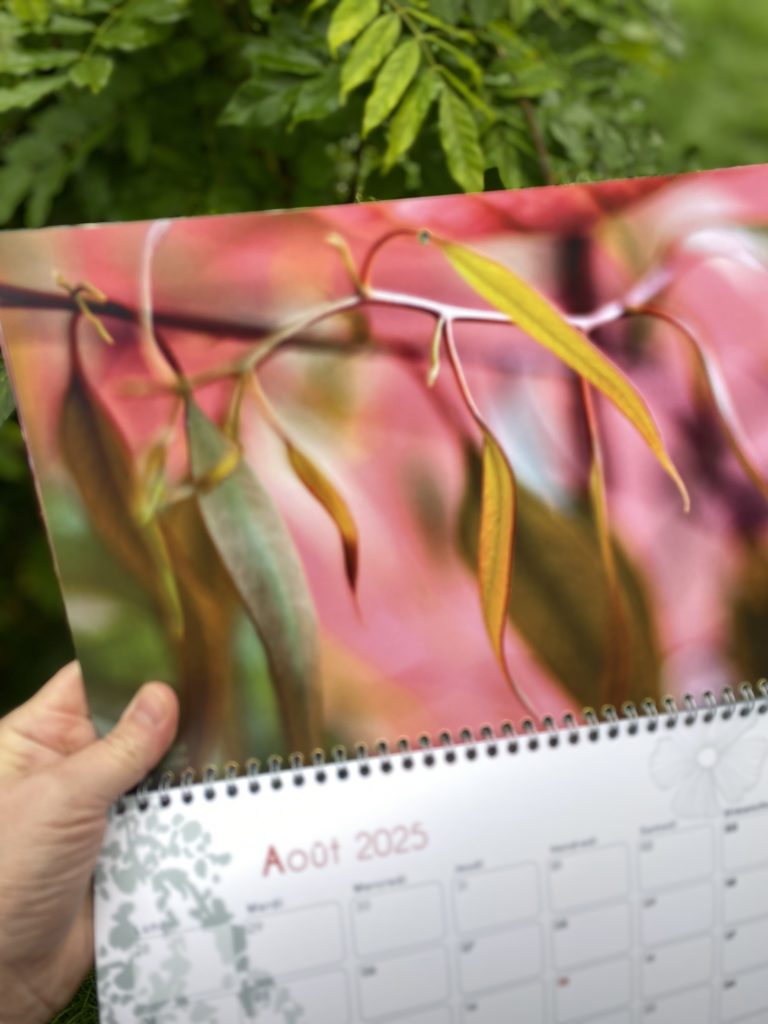 Calendrier 2025 Sophie Plouvier