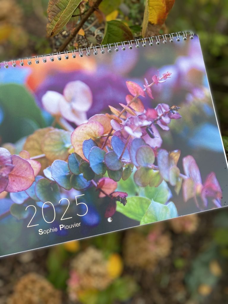 Calendrier 2025 Sophie Plouvier