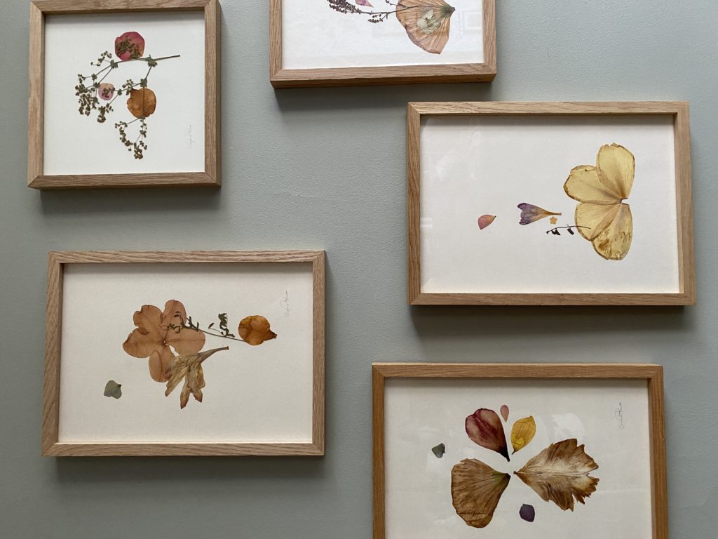 TAbleaux Fleurs séchées Sophie Plouvier