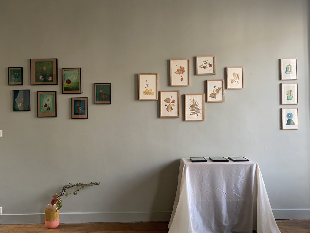 Exposition Sophie Plouvier tableaux fleurs séchées