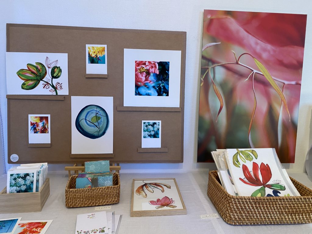 photos et dessins Sophie Plouvier
