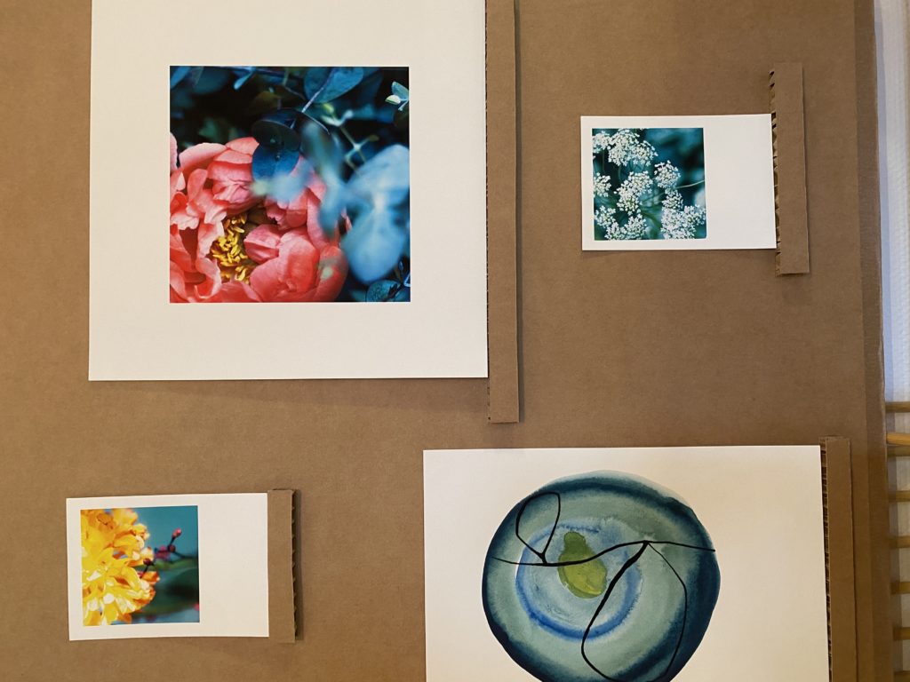 photos florales Sophie Plouvier