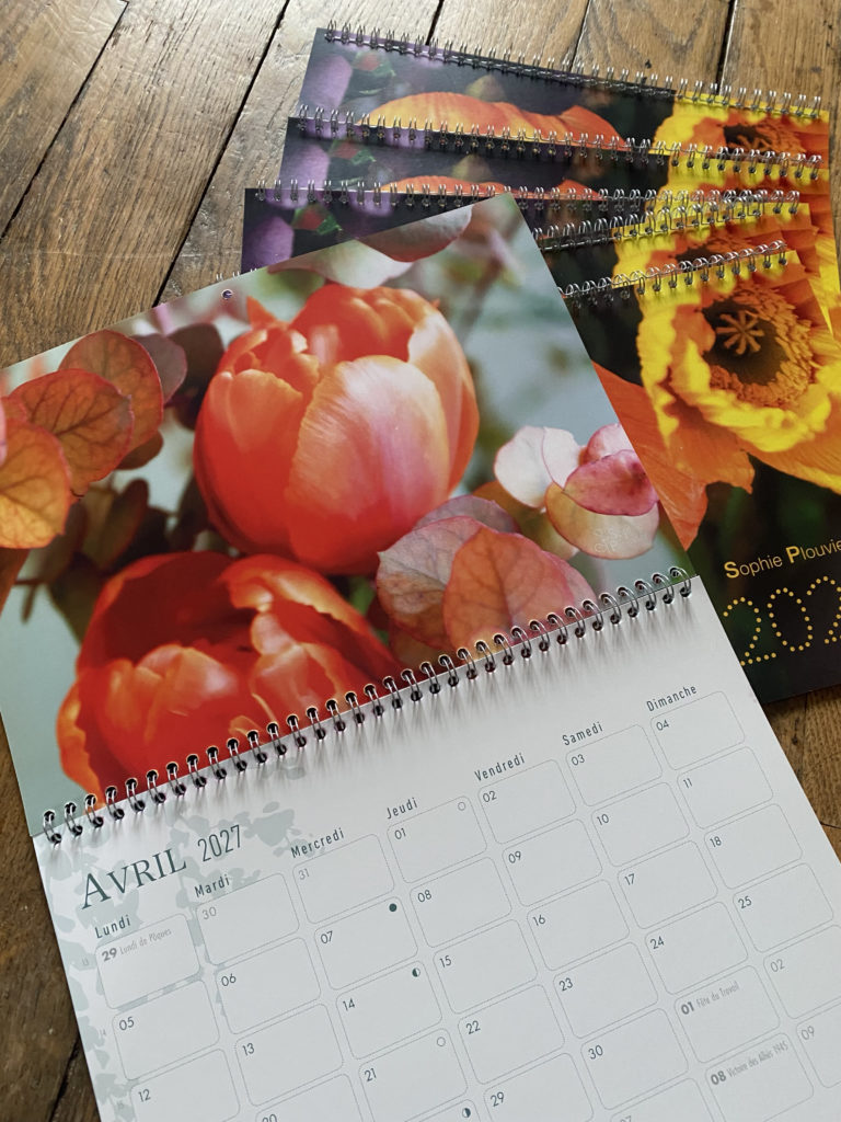 Calendrier 2027 Sophie Plouvier