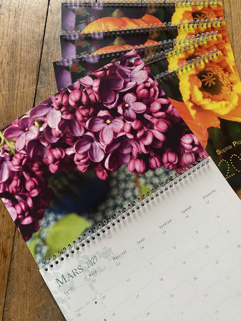 Calendrier 2027 Sophie Plouvier
