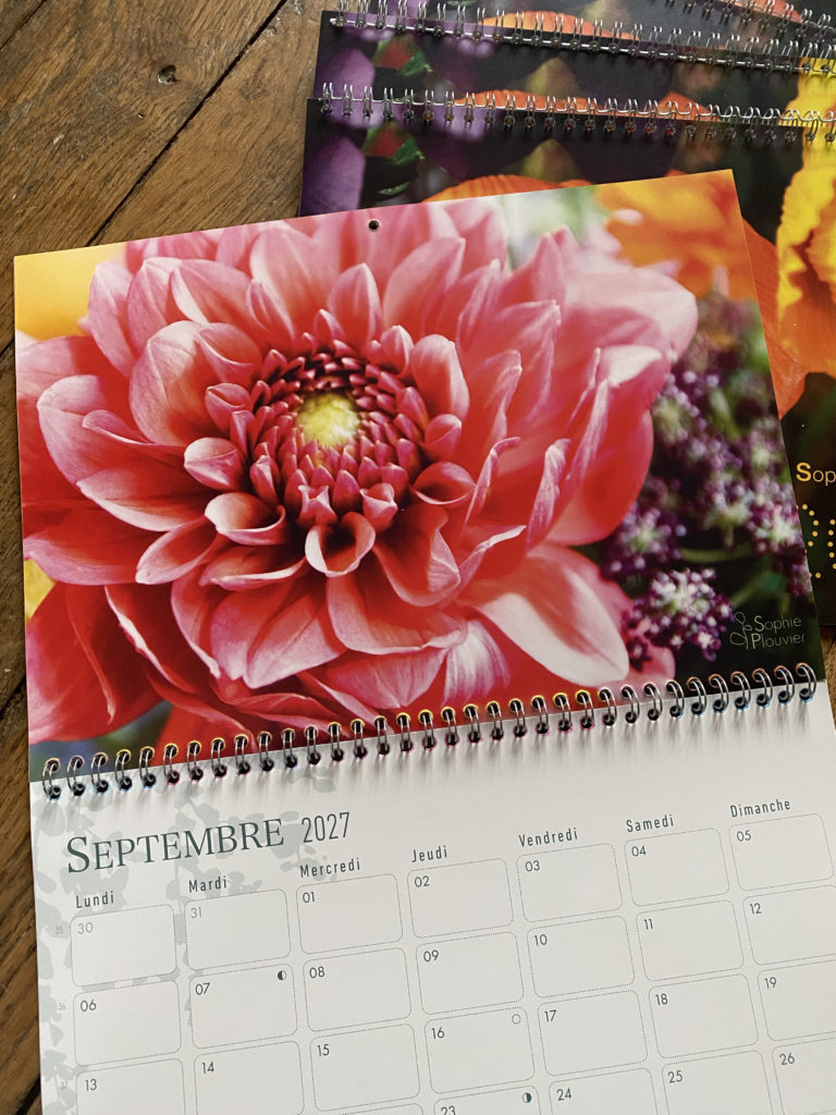 Calendrier 2027 Sophie Plouvier