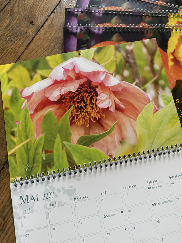 Calendrier 2027 Sophie Plouvier
