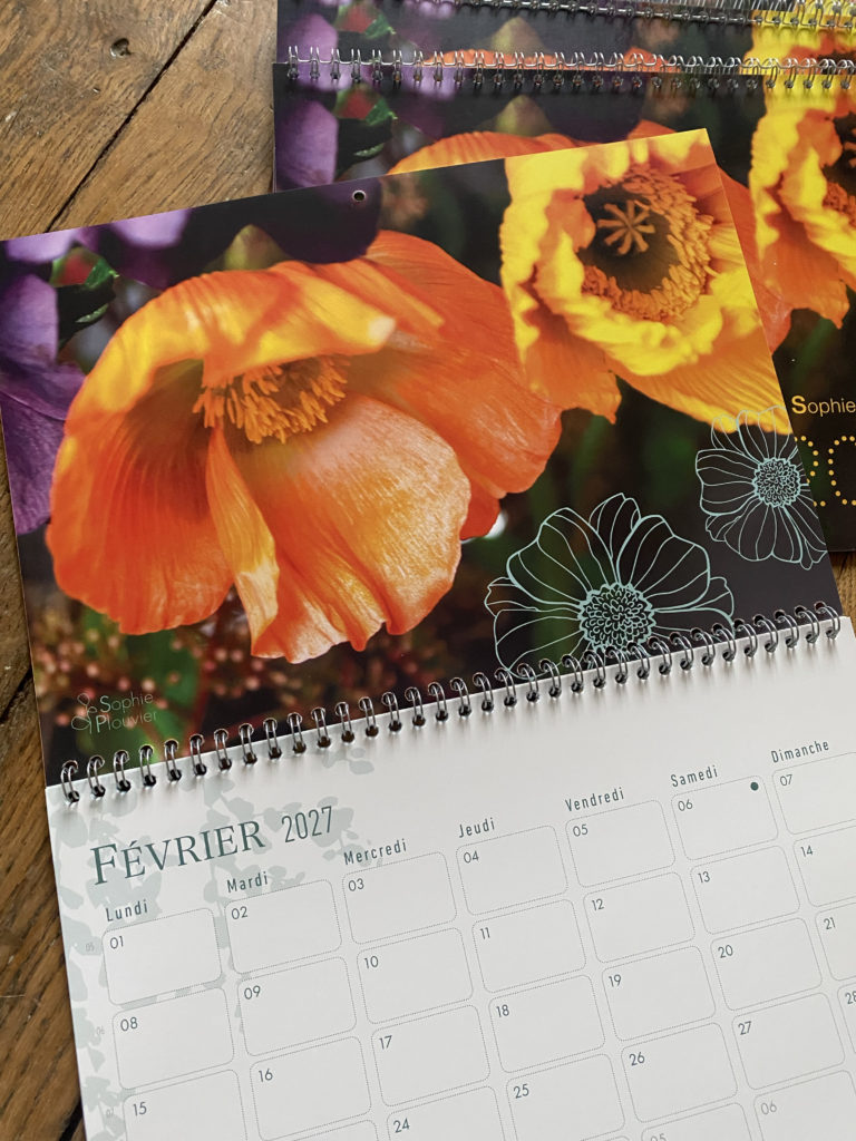 Calendrier 2027 Sophie Plouvier