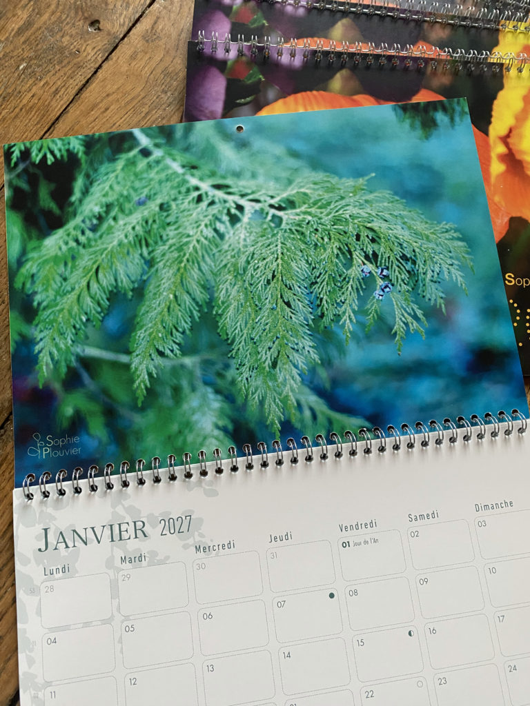Calendrier 2027 Sophie Plouvier