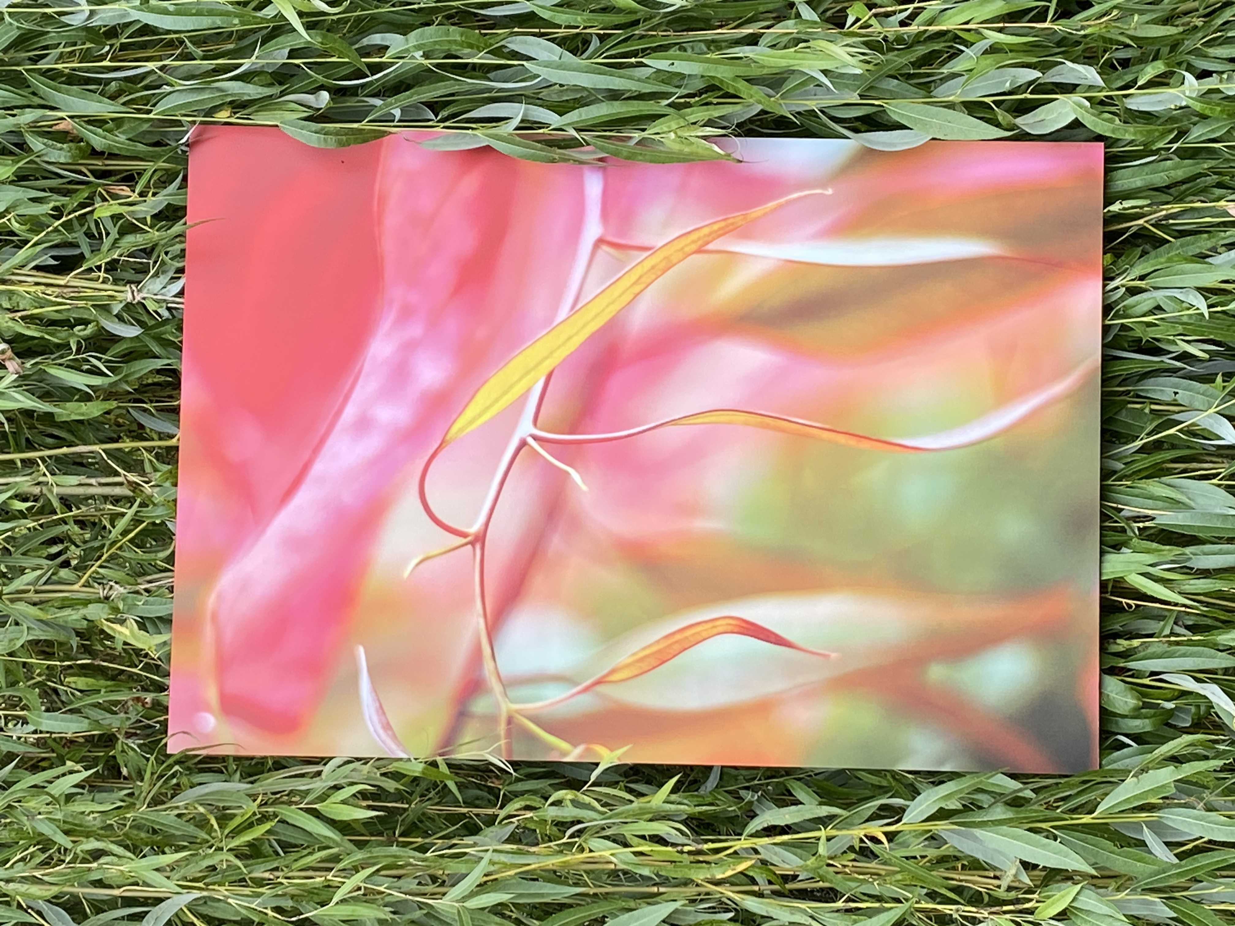 Exposition dans un jardin