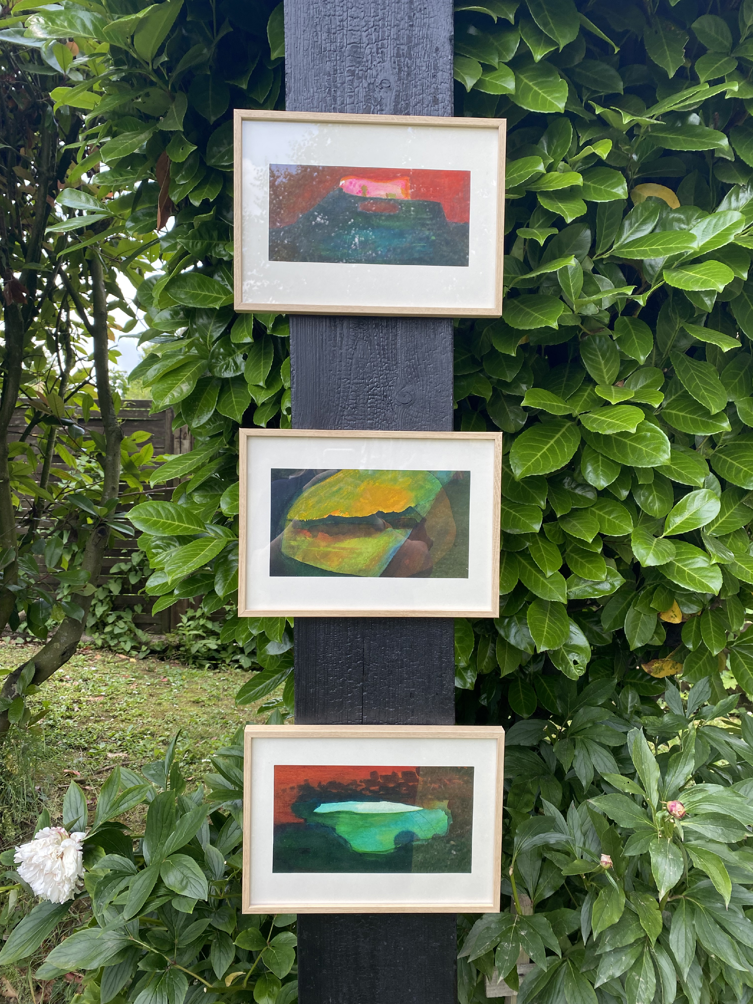 Exposition dans un jardin