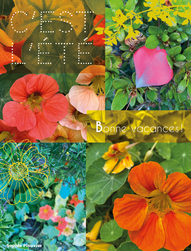 Carte fleurie "C'est l'été" avec des capucines Sophie Plouvier